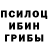 Галлюциногенные грибы Psilocybe {heey Beatriiix}