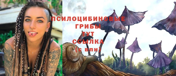 метадон Костерёво