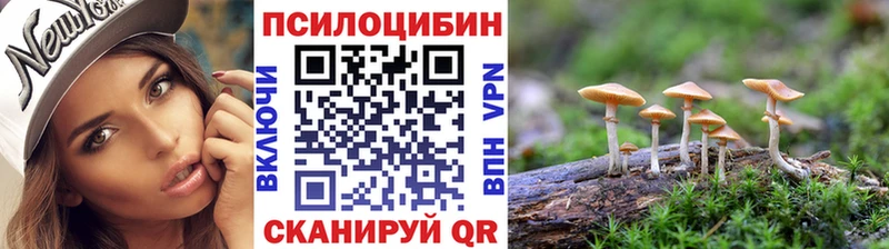 Купить где  Цоци-Юрт  Галлюциногенные грибы GOLDEN TEACHER 