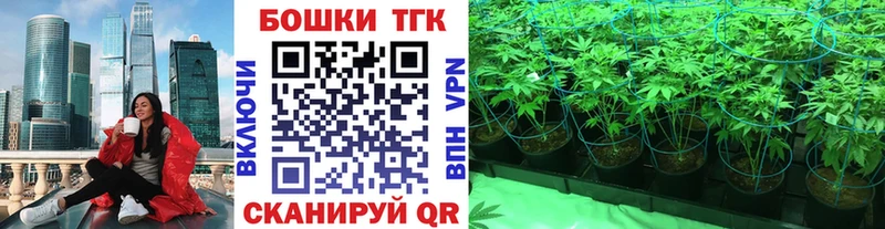 Каннабис SATIVA & INDICA  Купить где  Цоци-Юрт 